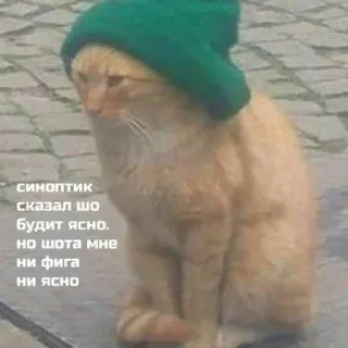 Sticker Шото типа котиков - 11