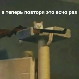 Sticker Шото типа котиков - 3