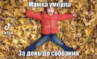 Стикер Чозапомои - 10