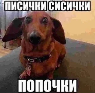 Стикер Чозапомои - 0