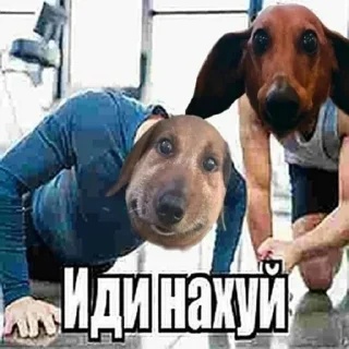 Стикер Чозапомои - 1