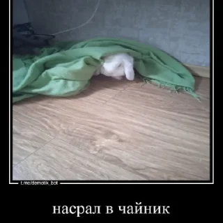 Стикер что-то - 9