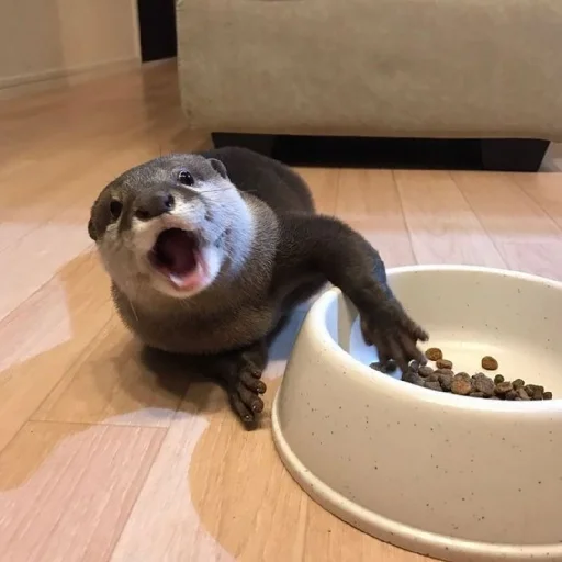 Sticker ChtoehttSally837 - 1