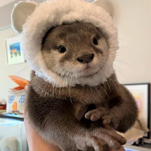 чтоэтт @sally837 - 