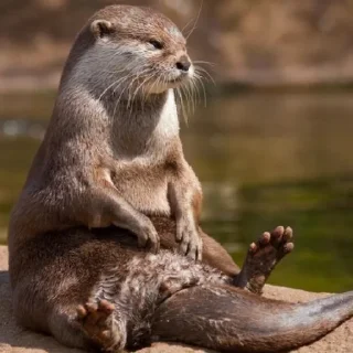 Sticker чтоэтт @sally837 - 5