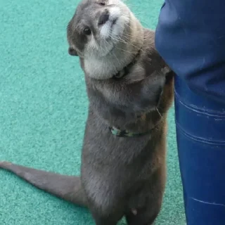 Sticker чтоэтт @sally837 - 8