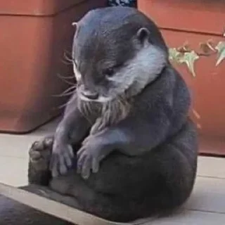 Sticker чтоэтт @sally837 - 0