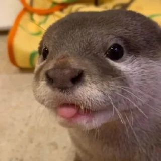 Sticker чтоэтт @sally837 - 6