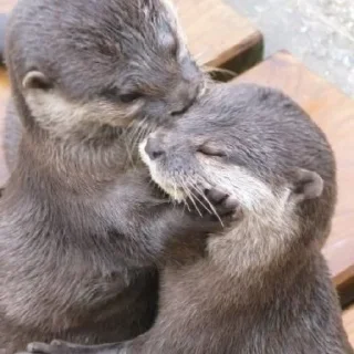 Sticker чтоэтт @sally837 - 3