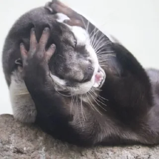 Sticker чтоэтт @sally837 - 9