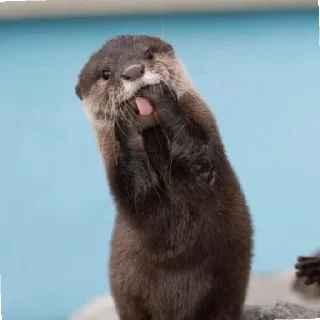 Sticker чтоэтт @sally837 - 1