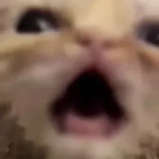 Sticker Чубрики - 3