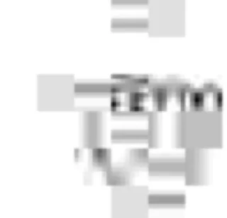 Sticker Chud Supremacist - 11