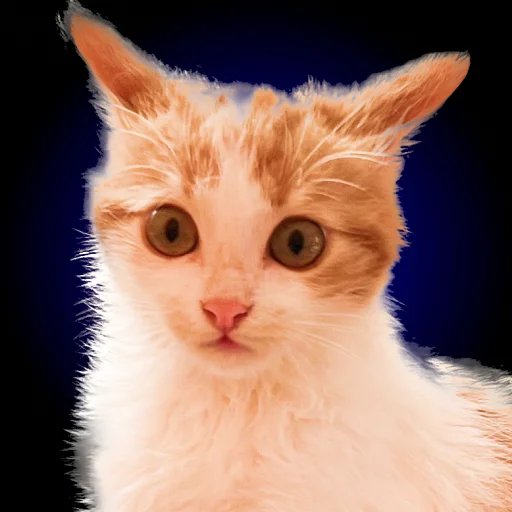 Sticker Chui_my_doma - 1