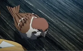 Sticker Чунтаро (@knystikerkrd) @pinterest_to_stickerbot - 1