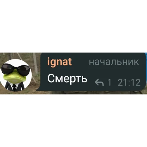 text sunglasses goggles