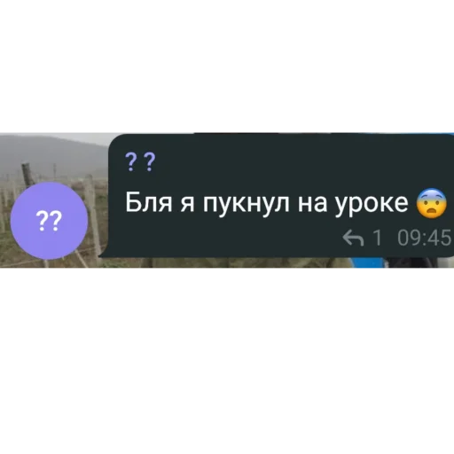 text screenshot font