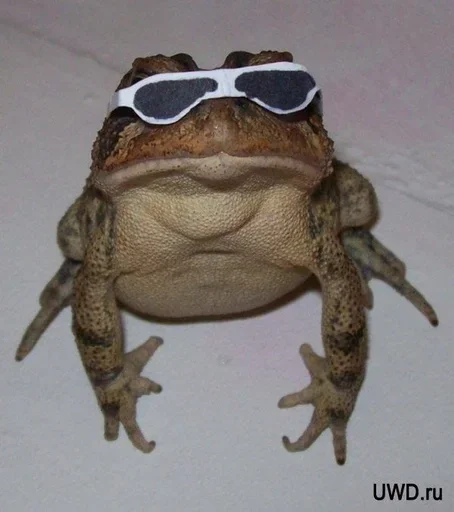 Sticker CiEFWNt_by_achestickbot - 1