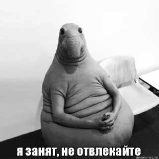 Sticker Больше стиков тут: @stikery4 - 3