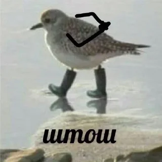 Sticker Больше стиков тут: @stikery4 - 5