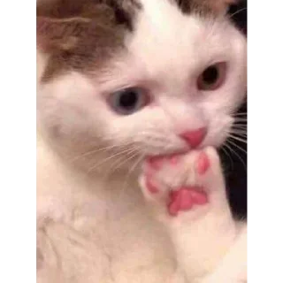 Sticker Больше стиков тут: @stikery4 - 8