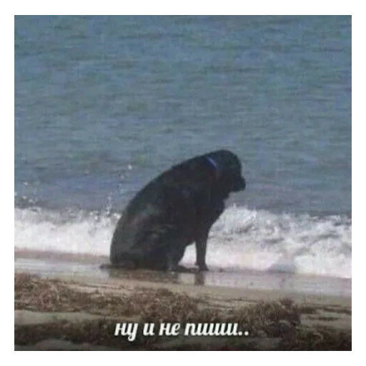 Стикер Ci_rk - 1