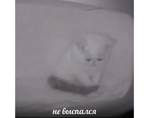 Стикер Ci_rk - 1