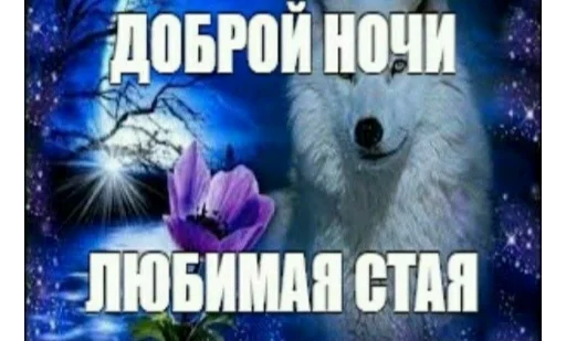 Стикер Ci_rk - 1