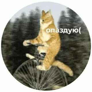 Стикер Для важных переговоров - 10