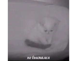 Стикер Для важных переговоров - 5