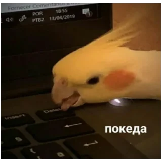 Стикер Для важных переговоров - 8