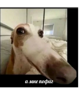 Стикер Для важных переговоров - 0