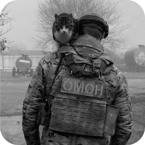 Cicero🤙🏻🔥 @Graislait - 