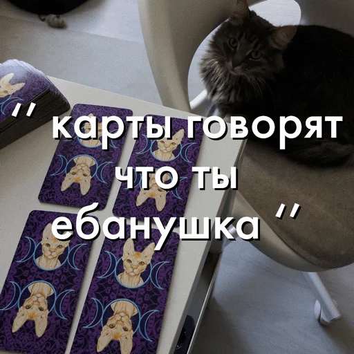 Sticker Cinnamon_Stiks - 1