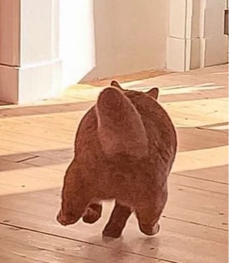 Стикер CircusMaximus - 1