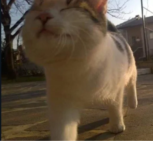 Sticker CircusMaximus - 1