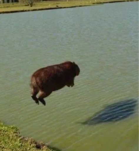 Sticker CircusMaximus - 1