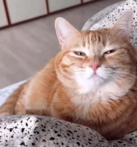 Стикер CircusMaximus - 1