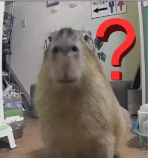 Sticker 🎪 Цирк навсегда - 3