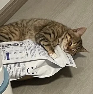 Sticker 🎪 Цирк навсегда - 4