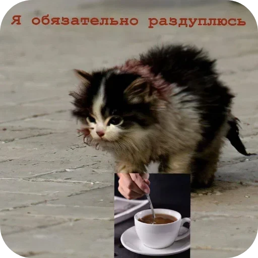 Sticker CirkEveryday - 1