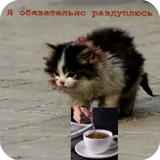 Sticker Цирк Everyday - 7