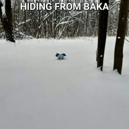 Sticker Cirnocirnocirno - 1