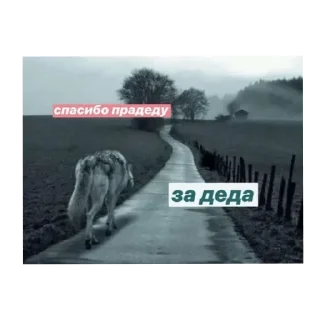 Sticker Цитатник Волка - 10