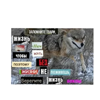 Sticker Цитатник Волка - 1