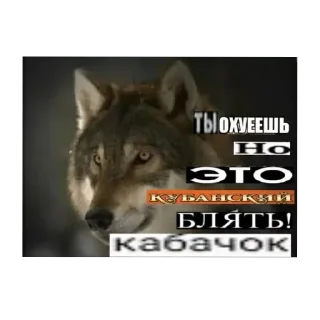 Sticker Цитатник Волка - 8