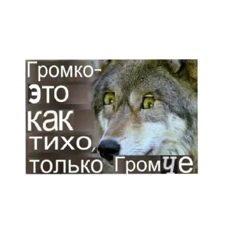Sticker Цитатник Волка - 7