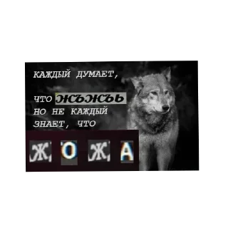 Sticker Цитатник Волка - 4