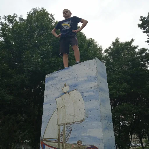 на открытом воздухе дерево небо