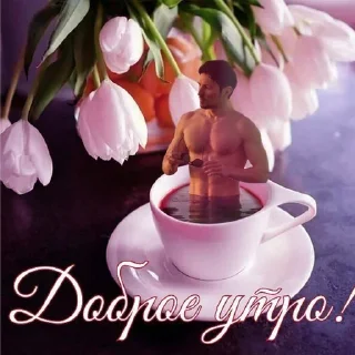 Sticker Стикеры @stikerk877 - 8